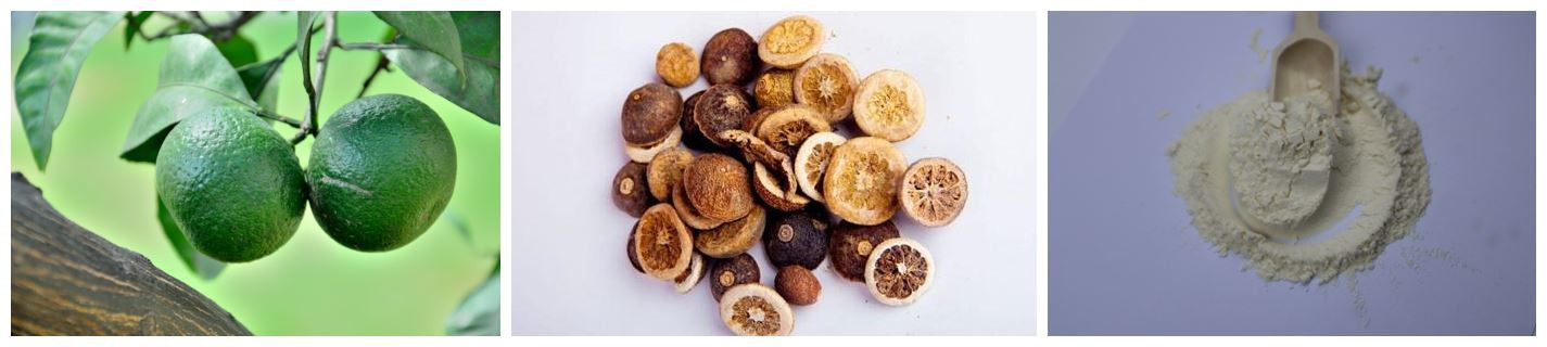 3666123667_1535500508