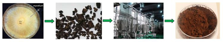 manufacturing process