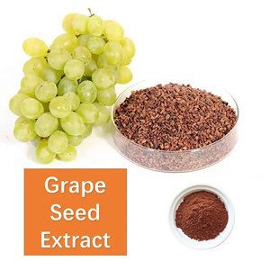 grape seed extract_300