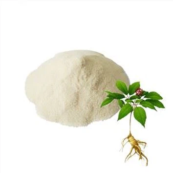 American Ginseng Extract 70%UV