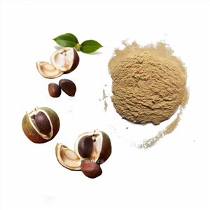 Camellia Extract