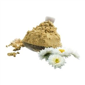 Chrysanthemum Powder