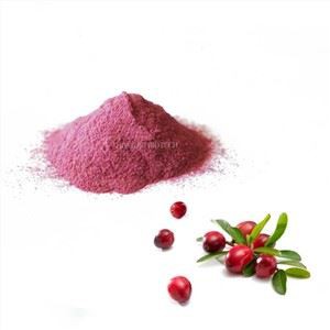 Cranberry Fruit Juice Concentrate Powder