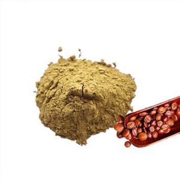 Jujube Seed Extract