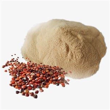 Semen Hoveniae Powder