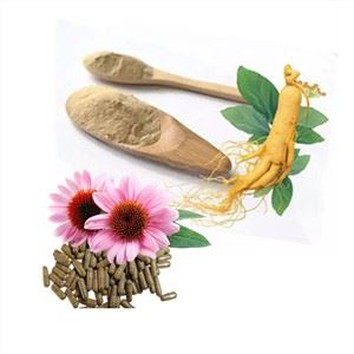 Ginseng And Echinacea