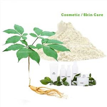 Ginseng Extract Skin