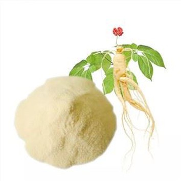 Panax Ginseng Root Extract