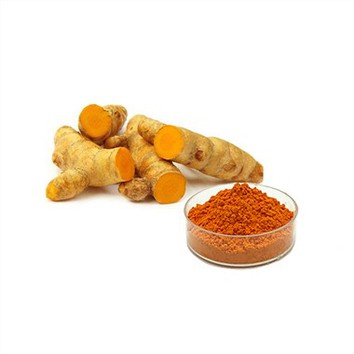 Turmeric Extract Powder