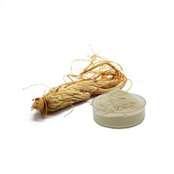 Ginseng Extract Powder