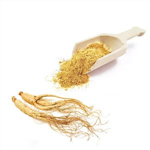 Ginseng Root