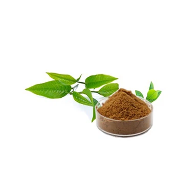 Green Tea Extract