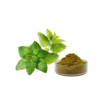 Lemon Balm Leaf Extract