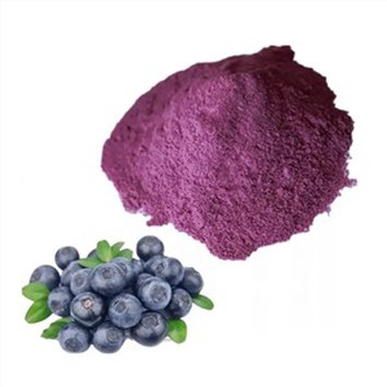 Natural Blue Berry Powder