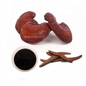 Reishi Mushroom Extract Liquid For Sleep